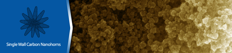 Carbonium - Single wall carbon nanohorns 2